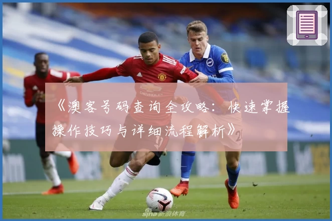 《澳客号码查询全攻略：快速掌握操作技巧与详细流程解析》