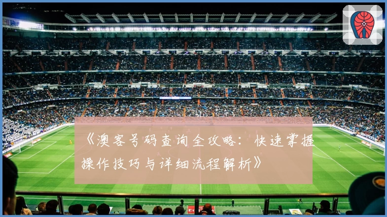 《澳客号码查询全攻略：快速掌握操作技巧与详细流程解析》