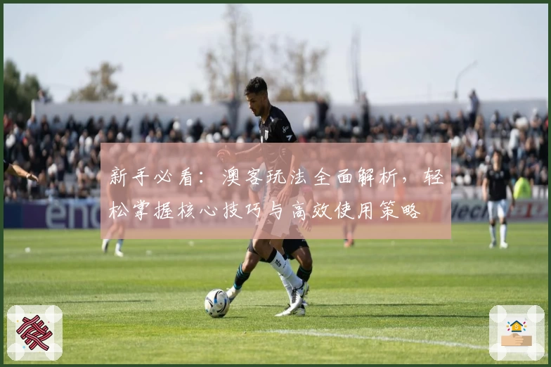 新手必看：澳客玩法全面解析，轻松掌握核心技巧与高效使用策略