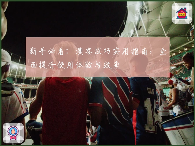 新手必看：澳客技巧实用指南，全面提升使用体验与效率