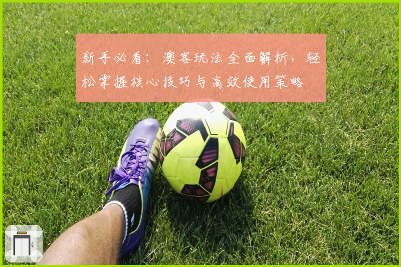 新手必看：澳客玩法全面解析，轻松掌握核心技巧与高效使用策略